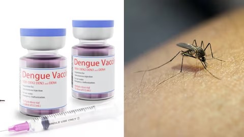  First Dengue Vaccine : भारत में डेंगू के पहले टीके ‘क्यूडेंगा’ को मिली मंजूरी, 4 से 60 वर्ष तक के लोगों को लगेगा; जानिए पूरी जानकारी