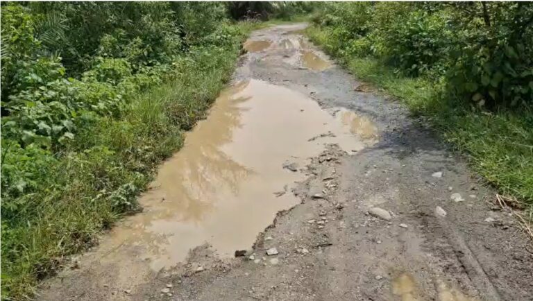 Jamshedpur News : मीरा मुंडा का हेमंत सरकार पर तीखा हमला, बोलीं- झारखंड में विकास की गति कहीं दिखाई नहीं दे रही