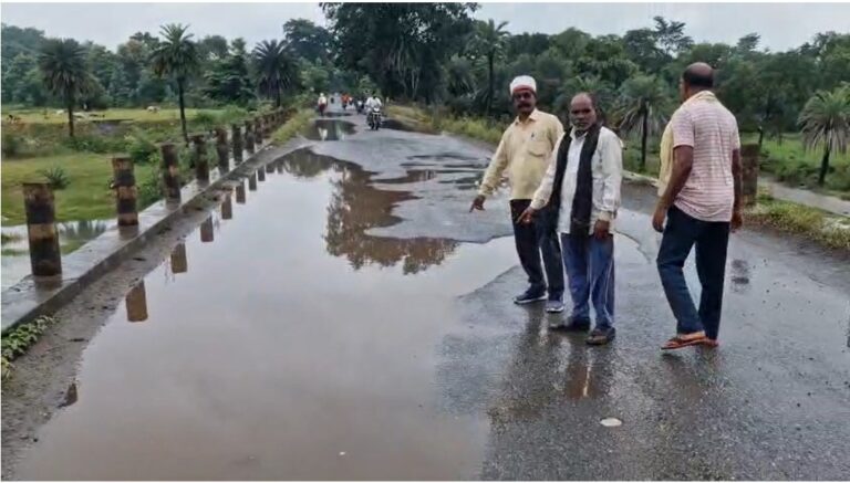Jamshedpur News : जादूगोड़ा रंकिणी मंदिर एलिवेटेड कॉरिडोर और दमाकी पुल की सड़क जर्जर, गड्ढों में बढ़ रहा हादसों का खतरा